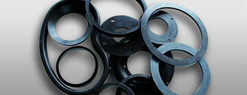 Gasket and Kidney Seals